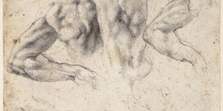 De mannen van Michelangelo in Teylers Museum Haarlem