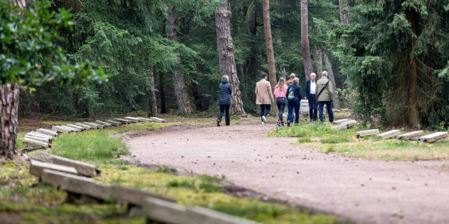 Bezoek het Nationaal Ereveld in Loenen