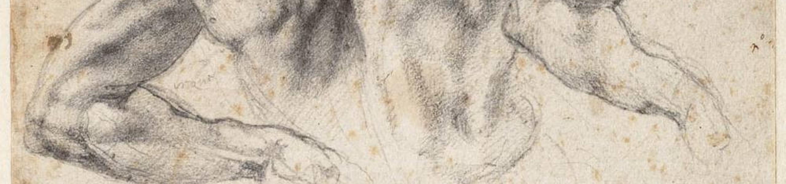 De mannen van Michelangelo in Teylers Museum Haarlem